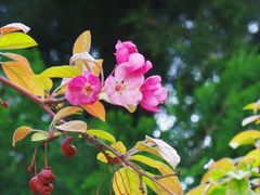 -元大都城垣遗址公园