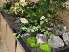 -海底捞火锅(赛格国际购物中心店)