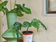 -绿小院(荔湾店)