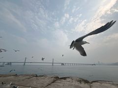 -星海广场