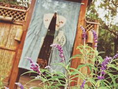 -桤木河湿地公园