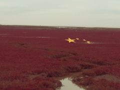 -盘锦红海温泉乐园
