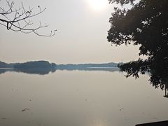 -海珠湖公园