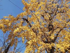 -两江幸福广场