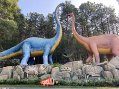 -森波拉奇妙世界