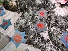 -沈阳海洋探索中心