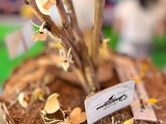 -大象粑粑造纸公园