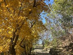 -封龙山风景区