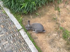 -蒋氏故居