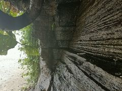 -滴水丹屏