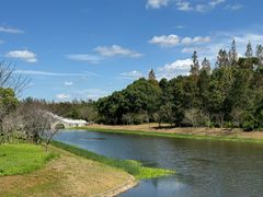 -上海海湾国家森林公园