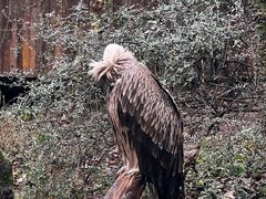 -云南野生动物园