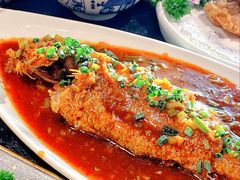 -唐猫庭院·千年陕菜(大唐不夜城店)