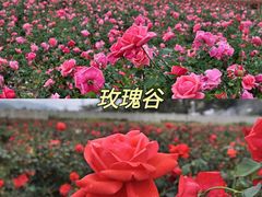 -亚龙湾热带天堂森林公园