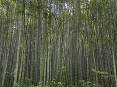 -九龙潭景区