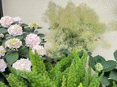 -满月蛋糕定制·商务茶歇·diy课程(万达广场店)