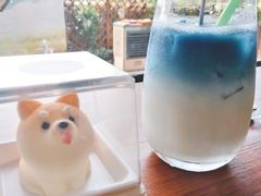 -柴犬高等学院·狗咖·柴犬售卖·宠物训练