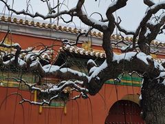 -北京市劳动人民文化宫(太庙)