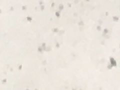 -印象莫奈时光映迹艺术展