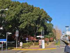 -上海交通大学(闵行校区)