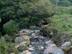 -狮子沟牧场