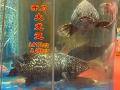 -惠食佳(滨江大公馆店)