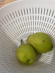 -Oasis Beauty水磨坊科技美肤中心