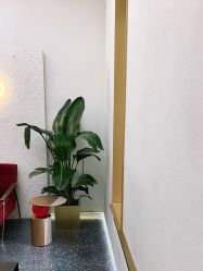 -JUNO hair salon