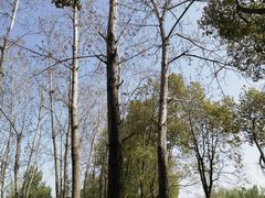 -祥源·阜阳生态乐园