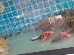 -阿伍海鲜大排档(塔湾金沙店)