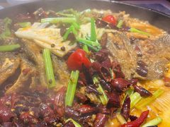 -老板恋上鱼(恒隆广场店)