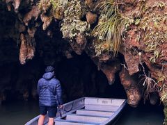 -怀托摩萤火虫洞