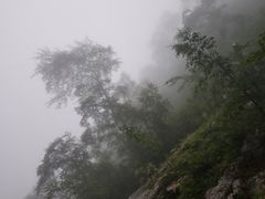 -青峰峡国家森林公园