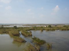 -盐城丹顶鹤湿地生态旅游区