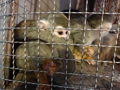 -成都浩海立方海洋公园