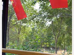 -西青郊野公园
