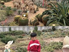 -盈香心动乐园