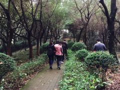 -上海市保健医疗中心(华东疗养院)