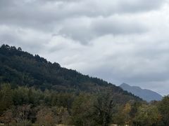 -塔川景区