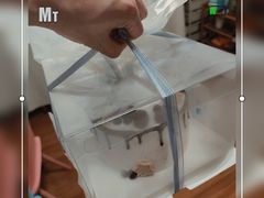 -今日·TODAY手作低脂动物奶油蛋糕定制(高新万达店)