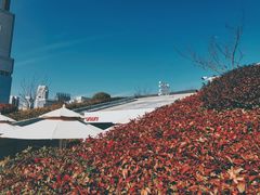 -UNIUNI(凯瑟琳广场店)