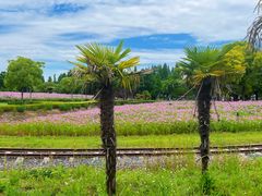 -歌斐颂巧克力小镇