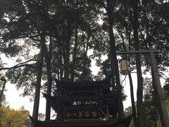 -青城山
