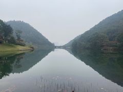 -桃花岭景区
