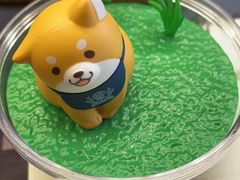 -TOUCH泰奇(宝杨宝龙广场店)