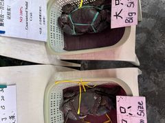 -龙海鲜螃蟹王(宏茂桥店)