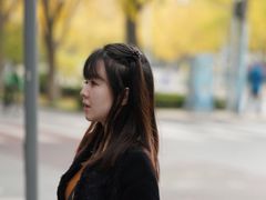 -三里屯东五街银杏大道