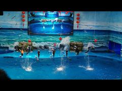 -多彩贵州城极地海洋世界