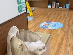 -瑞派中心宠物医院·CT·核磁·神经专科
