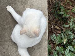 -敬亭山风景名胜区